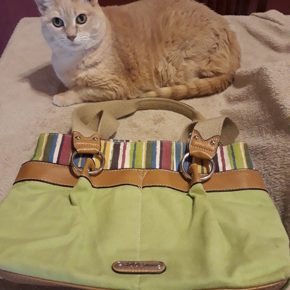 Green purse